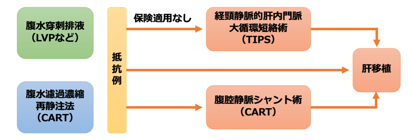 （日本肝臓学会・日本門脈圧亢進症学会編　門脈圧亢進症の診療ガイド2022より一部改変）
